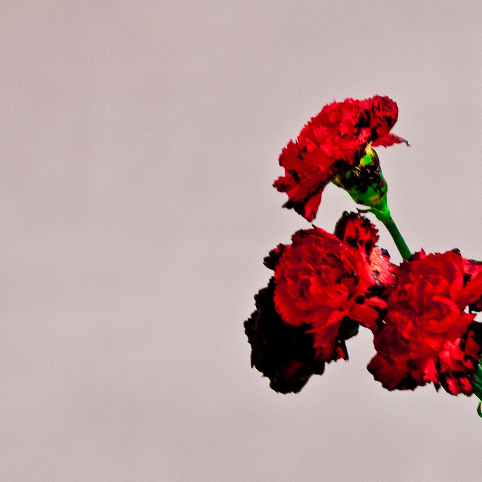 John Legend &laquo;&nbsp;Love in the Future&nbsp;&raquo; @@@@