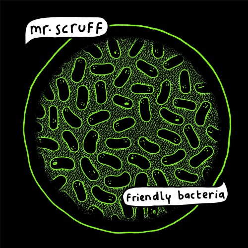 mr scruff-friendly bacteria