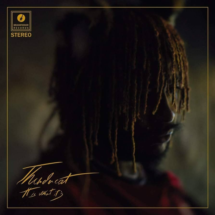 Thundercat &laquo;&nbsp;It is what it is&nbsp;&raquo;&nbsp;@@@@¼